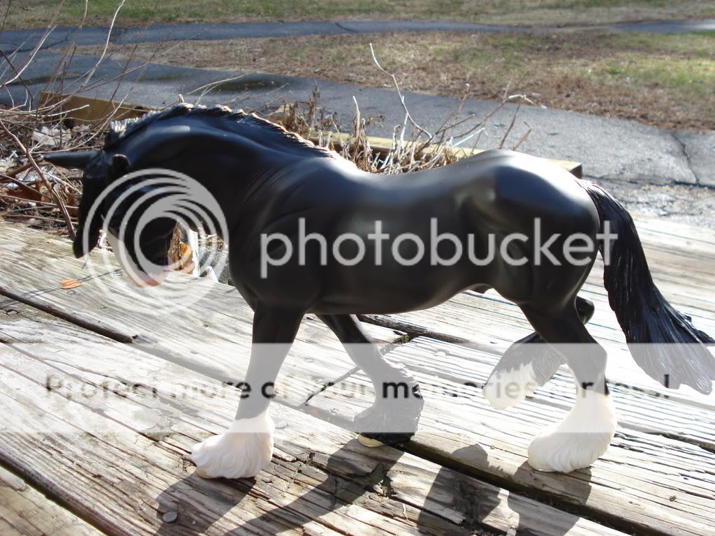 Real Breyer Horses Fox Valley Oliver Stable News